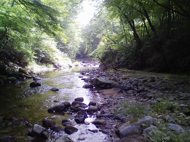 d0079570_2055026.jpg