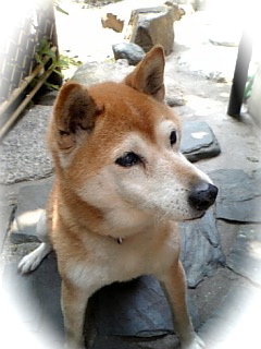 f0000673_23421247.jpg