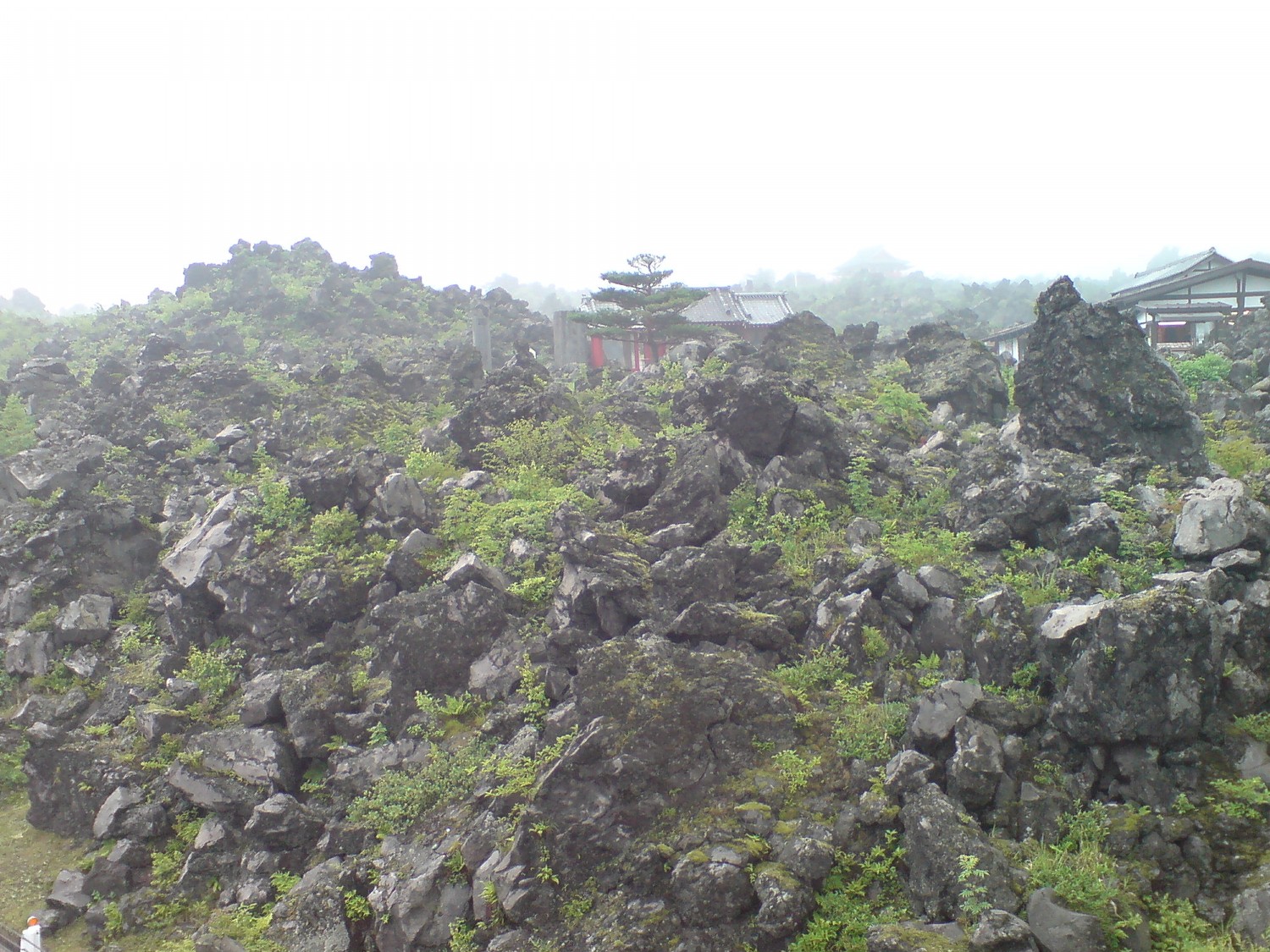 f0137483_811427.jpg