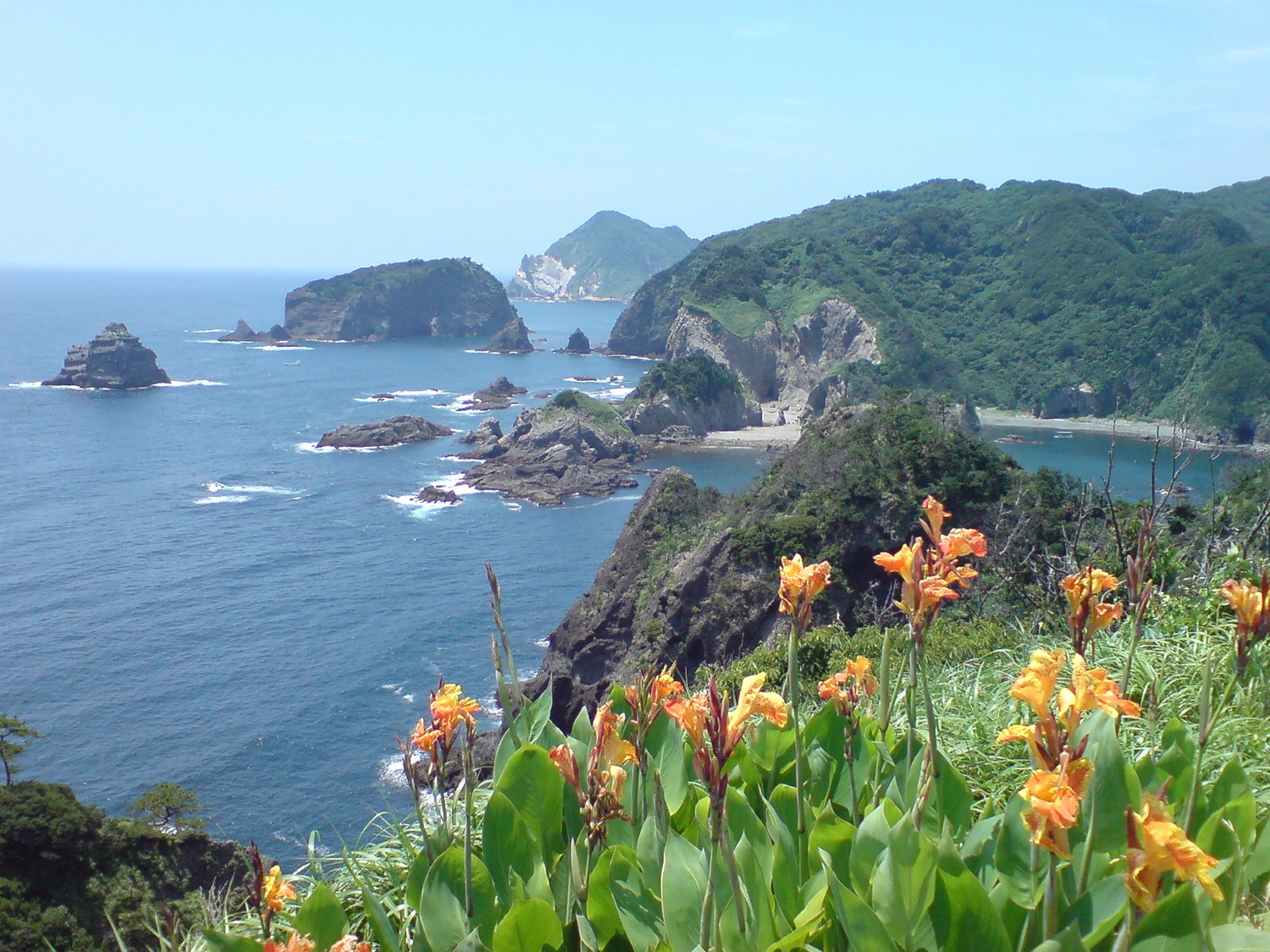 f0137483_8114628.jpg