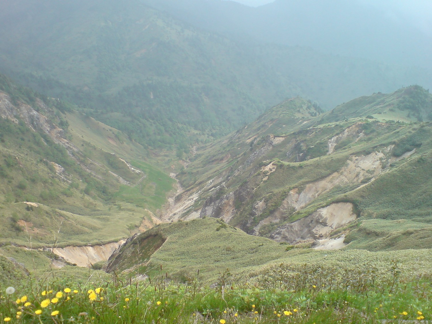 f0137483_882414.jpg