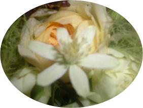 c0015589_22465754.jpg