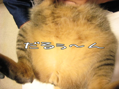 a0045990_23402031.jpg