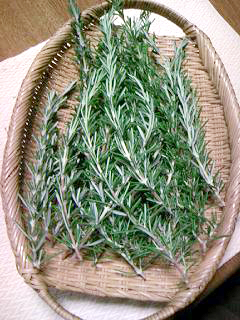 f0110391_1415682.jpg