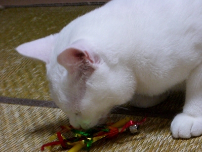 f0121293_1716269.jpg