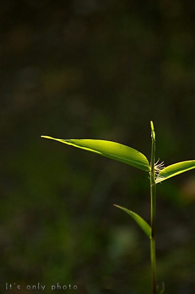 e0008800_22264128.jpg