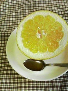 f0051101_9355286.jpg
