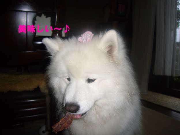 e0018604_16413733.jpg