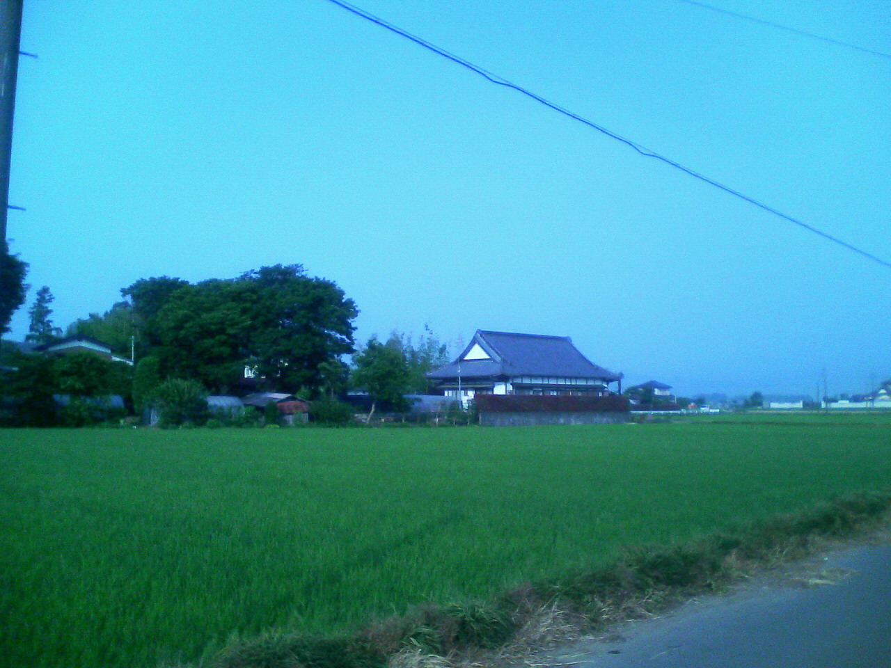 d0000607_19293311.jpg