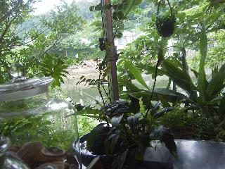 f0040310_20451027.jpg