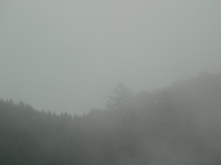 c0086014_2056356.jpg