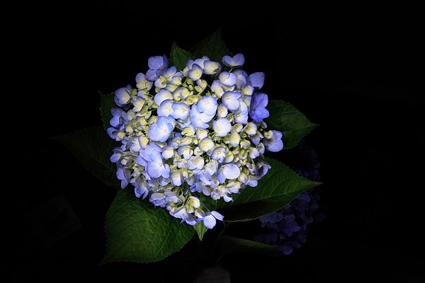 f0031423_2132036.jpg