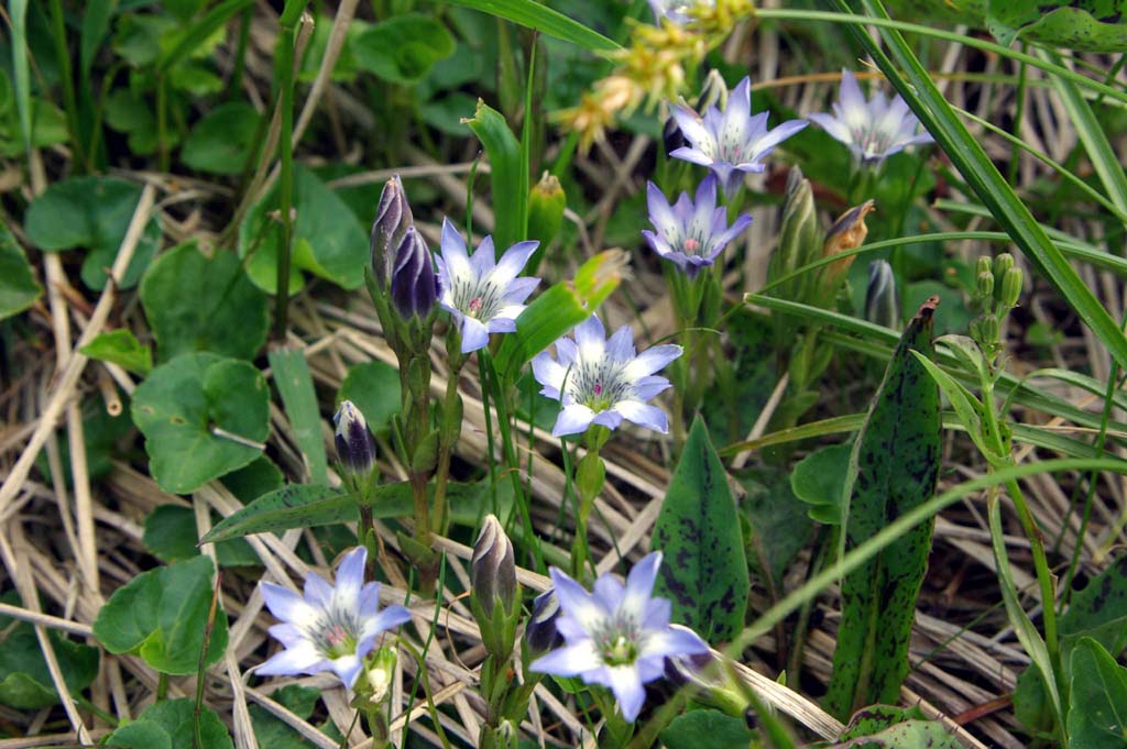 b0062024_22174871.jpg
