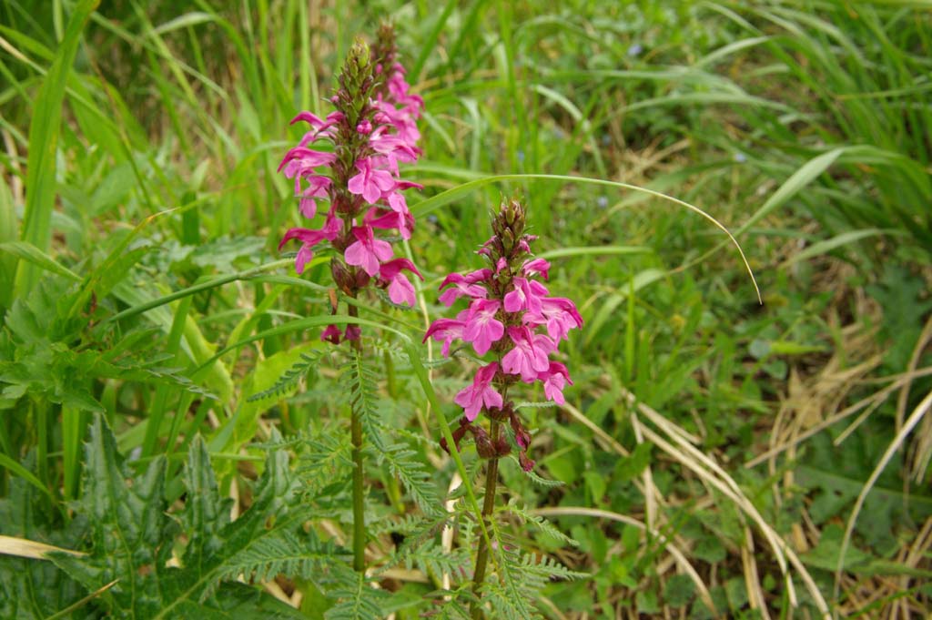 b0062024_22222784.jpg