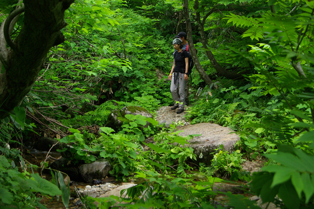 b0062024_22533385.jpg