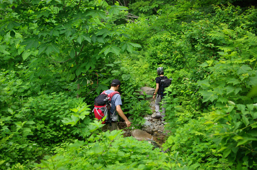 b0062024_22564848.jpg