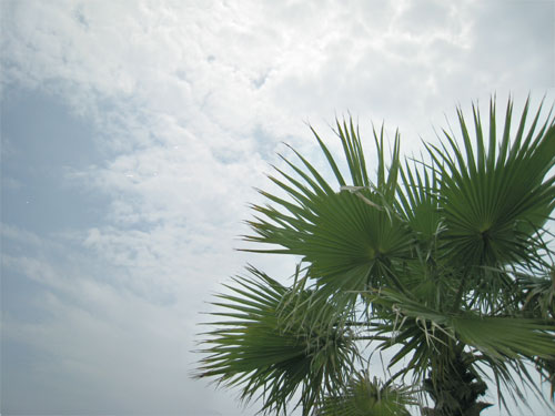 d0036630_13524247.jpg