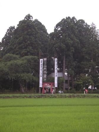 f0147037_1335952.jpg