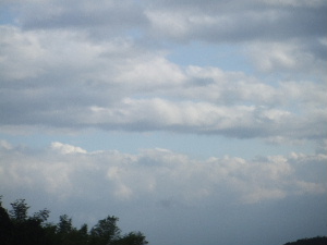 a0054240_21212118.jpg