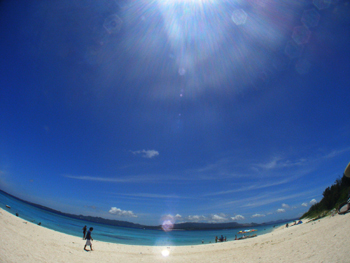 d0065247_21502737.jpg