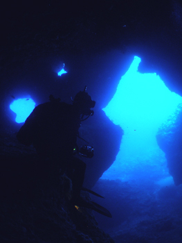 d0065247_2157163.jpg