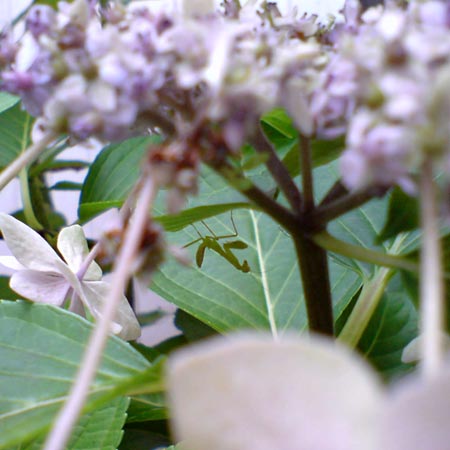 e0034047_18141730.jpg
