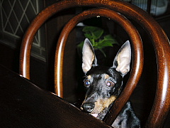 c0123149_12514336.jpg