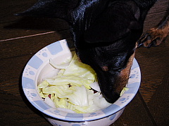 c0123149_12565059.jpg