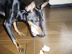 c0123149_12572943.jpg