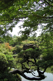 b0043757_17171341.jpg