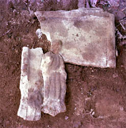 e0018762_1440123.jpg