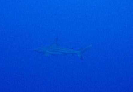 b0062363_2050140.jpg
