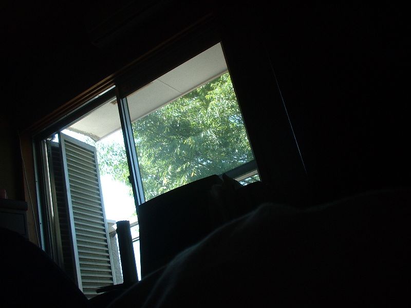 b0032167_226884.jpg