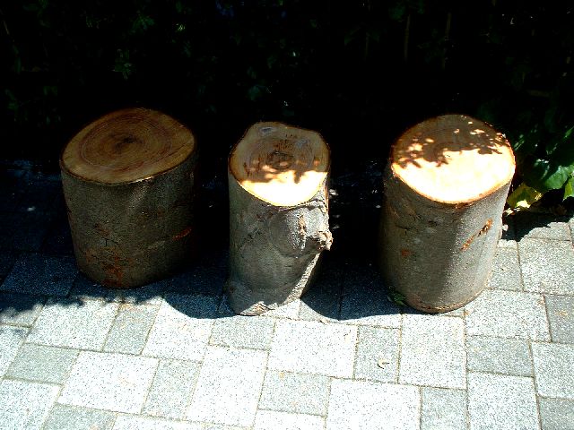 b0032167_2285935.jpg