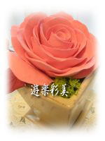 a0092074_19134625.jpg