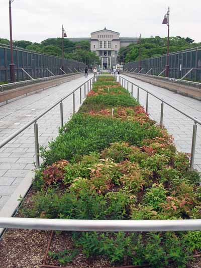f0052281_18422474.jpg