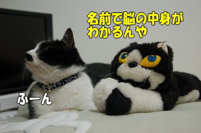 b0041182_21201341.jpg