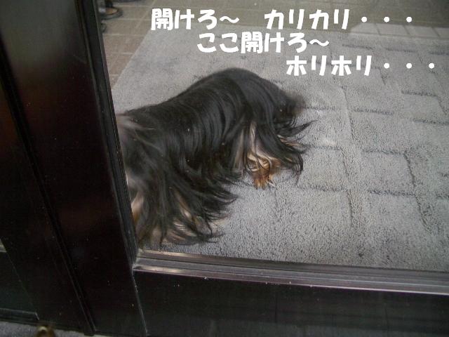 c0031582_1754559.jpg