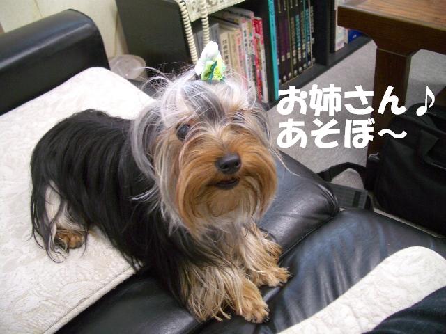 c0031582_1885767.jpg