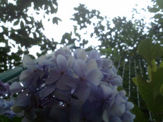 e0116383_0303553.jpg