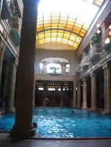 f0060585_8453935.jpg