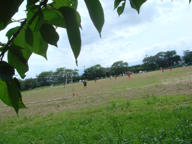 a0076187_1219197.jpg