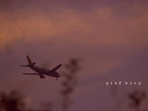 b0056790_7364494.jpg