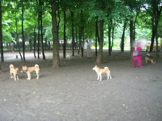c0123890_21135694.jpg