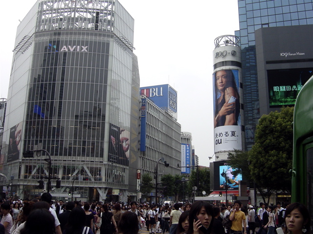 d0010496_832298.jpg