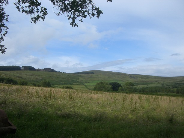 b0110999_6133182.jpg