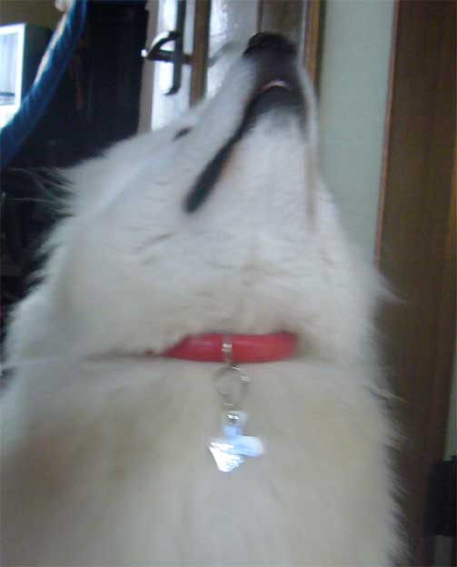 e0018604_1613637.jpg