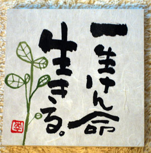 c0114110_7271579.jpg