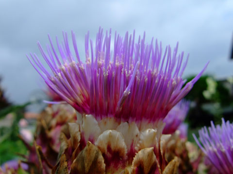f0147025_16485565.jpg