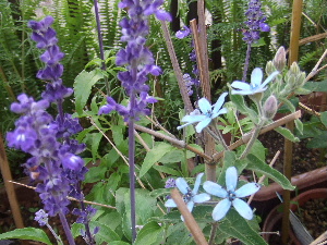 a0054240_13291063.jpg